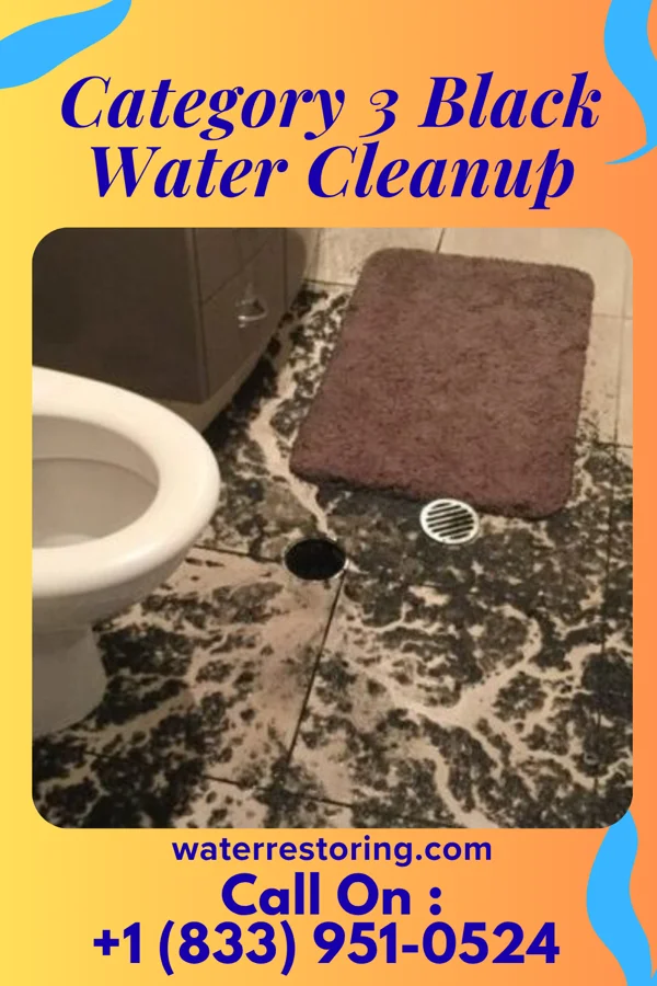 Category 3 Black Water Cleanup in Ohoopee, GA