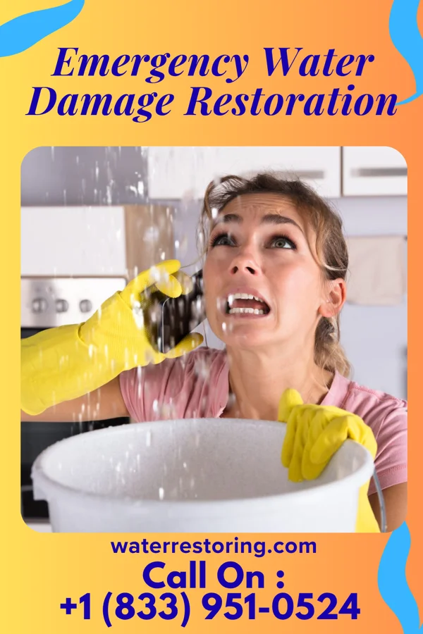 Emergency Water Damage Restoration in Ohoopee, GA