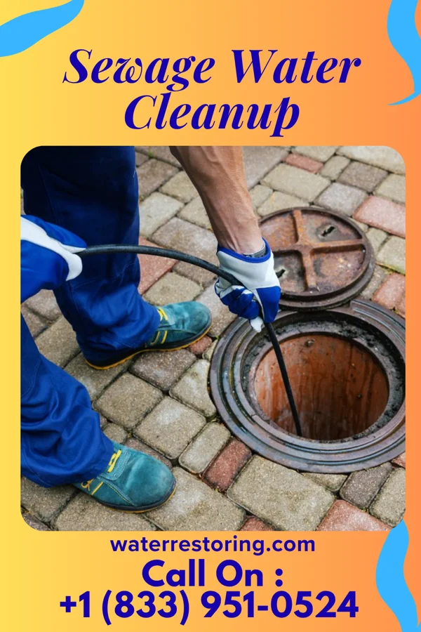 Sewage Water Cleanup in Ohoopee, GA